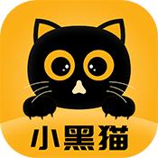91浏览器APP应用